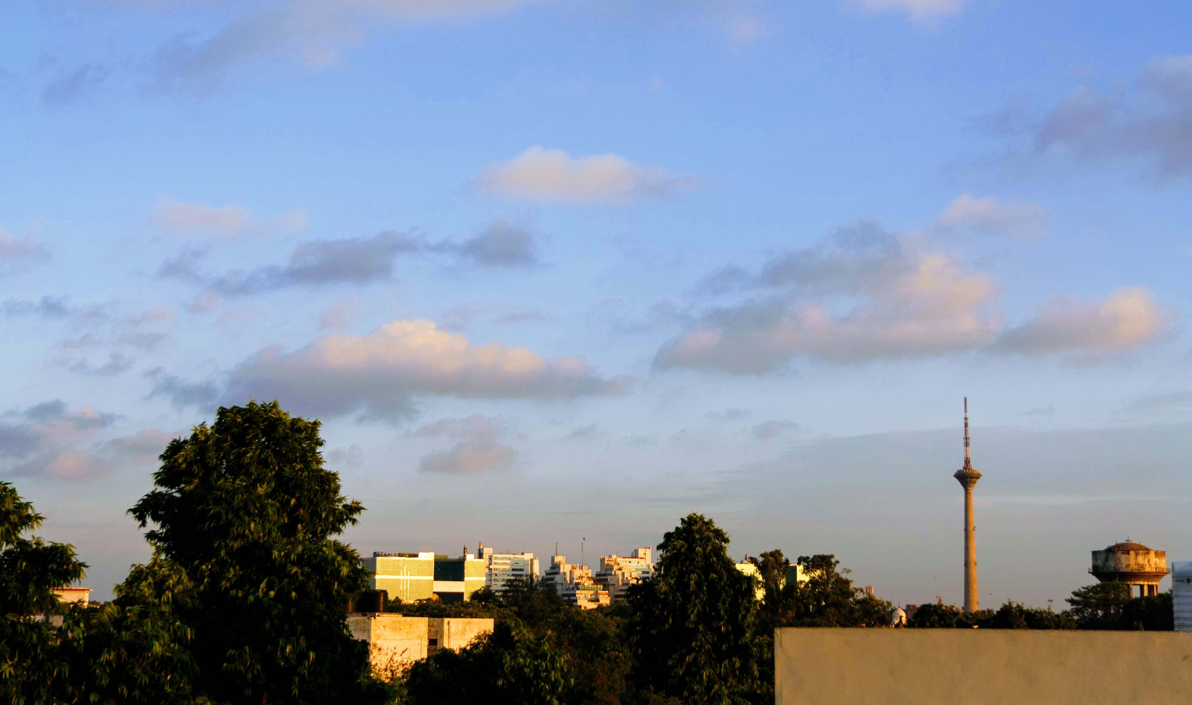 Morning Lawrence Road